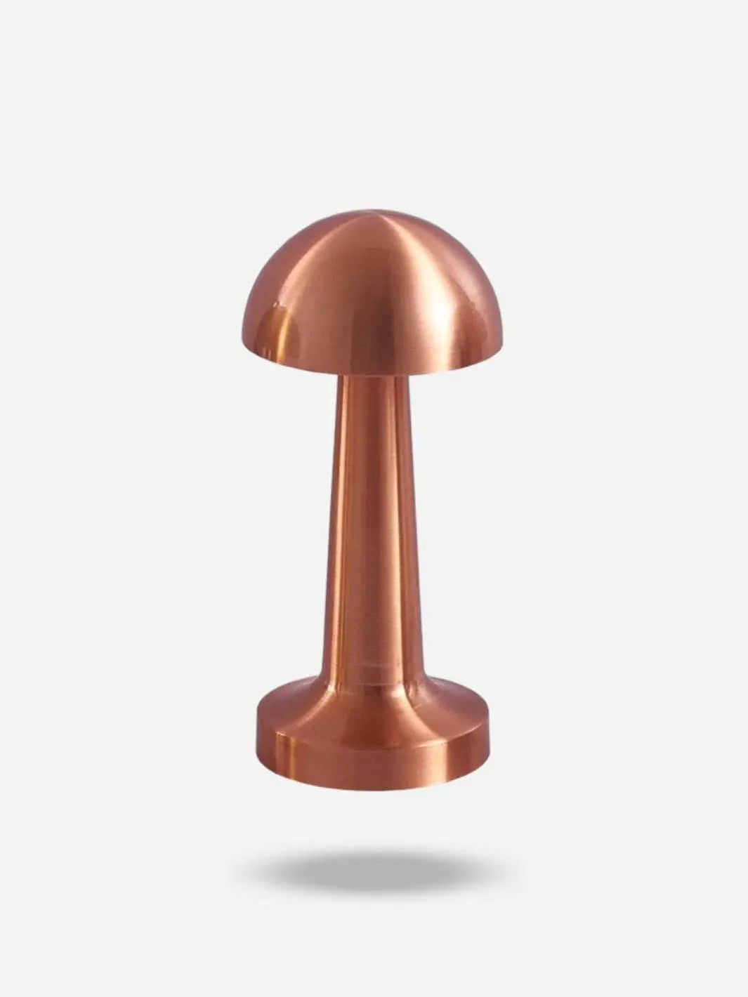 Lampe de chevet <br> La Noble Dynastie solampe.com